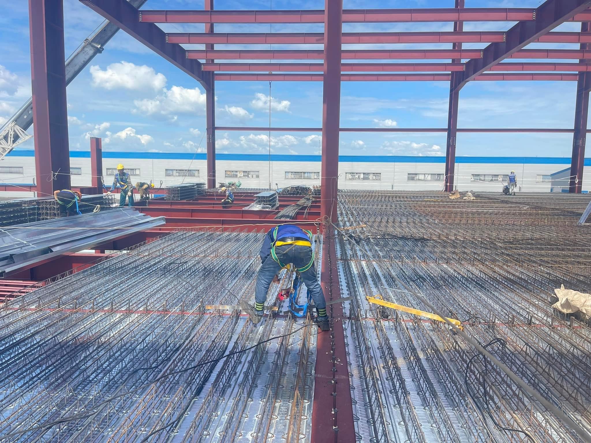 san deck2